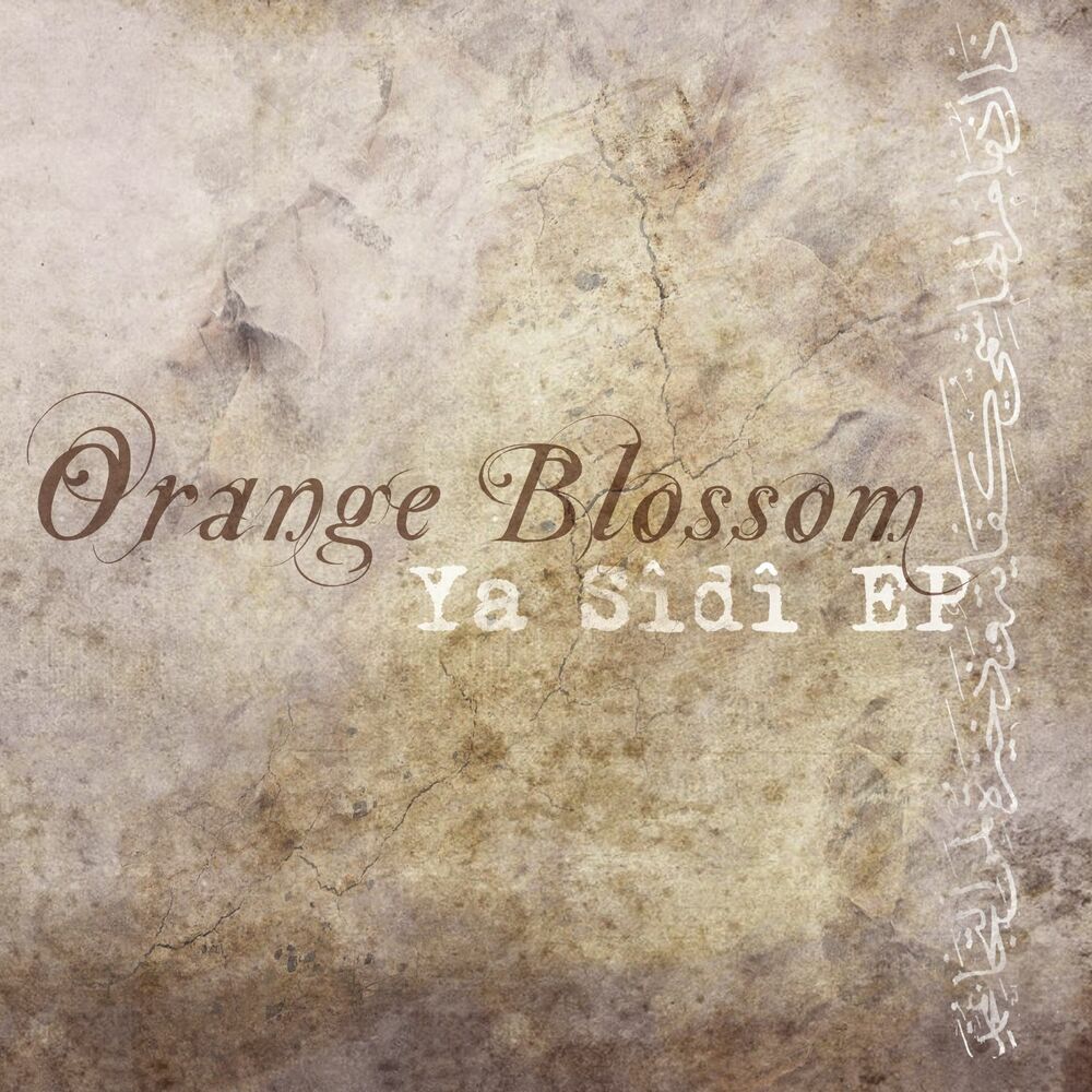 Ya sidi перевод. Orange Blossom ya Sidi. Orange Blossom группа. Orange Blossom ya Sidi на каком языке.