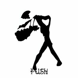 Album cover of Push
