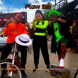Album cover of Flow 90