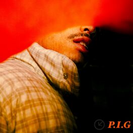 Album cover of P.I.G.