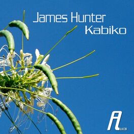 Album cover of Kabiko