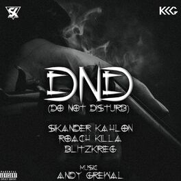 Album cover of DND (Do Not Disturb)