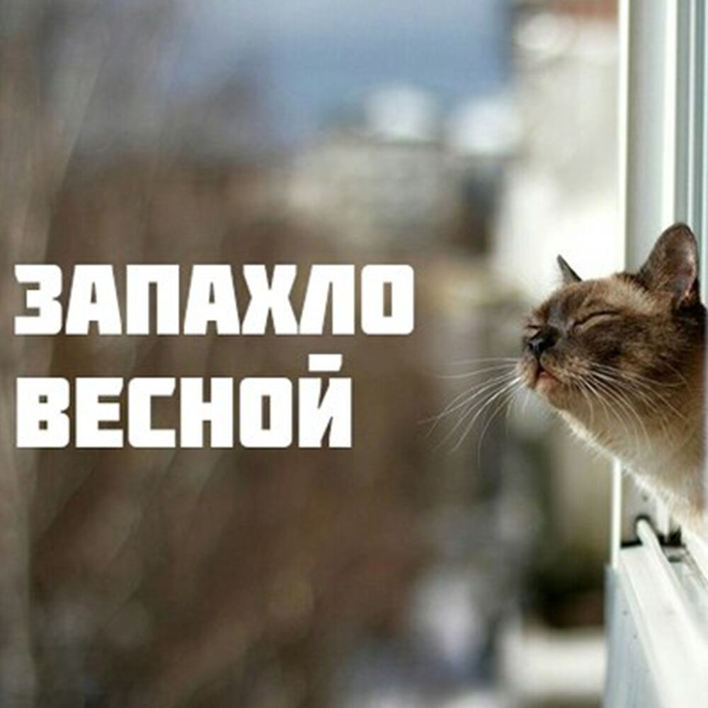 Чувствуете запах весны