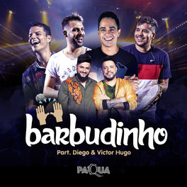 Album cover of Barbudinho (ao Vivo)