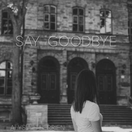 Album picture of Say Goodbye