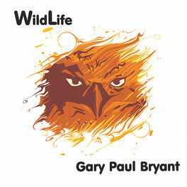 Album cover of WildLife