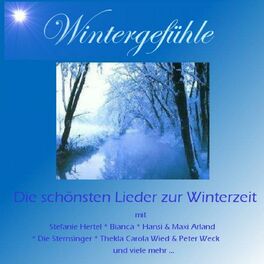 Album cover of Wintergefühle