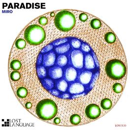 Album cover of Paradise Remixes
