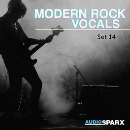 Album cover of Modern Rock Vocals, Set 14
