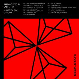 Album cover of Reactor, Vol. 2 (DJ Mix)