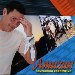 Album cover of Sanfoneiro Nordestino