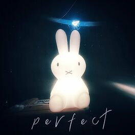 Album cover of Perfect