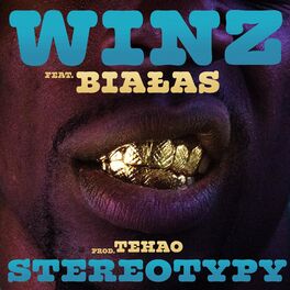 Album cover of Stereotypy (feat. Białas) [Tehao Remix]