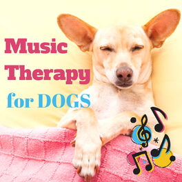 Album cover of Music Therapy for Dogs – Relaxing Instrumental Music with Nature Sounds for Deep Sleep, Stress Relief, Anti Anxiety