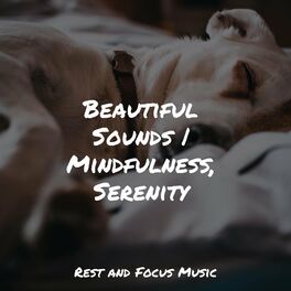 Album cover of Beautiful Sounds | Mindfulness, Serenity