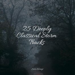 Album cover of 25 Deeply Classical Storm Tracks