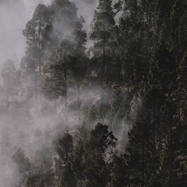 Album cover of Muted Melodies & Sleep Music | Massage