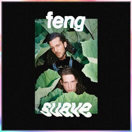 Album cover of Feng Suave