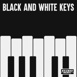 Album cover of Black and White Keys