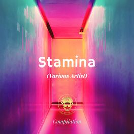 Album cover of Stamina