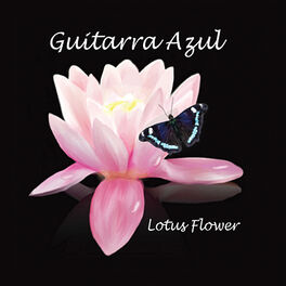 Album cover of Lotus Flower