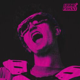 Album cover of DIGITAL FANTAZY