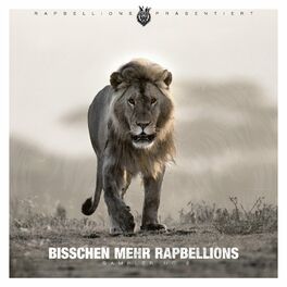 Album cover of Bisschen mehr Rapbellions