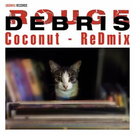 Album cover of Coconut (Redmix)