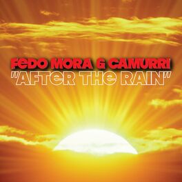 Album cover of After The Rain