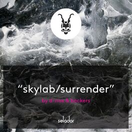 Album cover of Skylab / Surrender