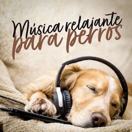 Album cover of Música Relajante Para Perros