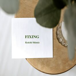 Album cover of FIXING