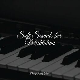 Album cover of Soft Sounds for Meditation