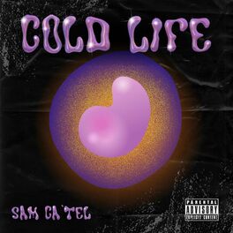 Album cover of Cold Life