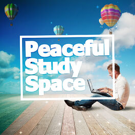 Album cover of Peaceful Study Space