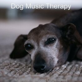 Album cover of Music for Reducing Dogs Stress