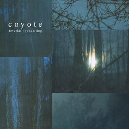 Album cover of Coyote