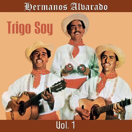 Album cover of Trigo Soy, Vol. 1