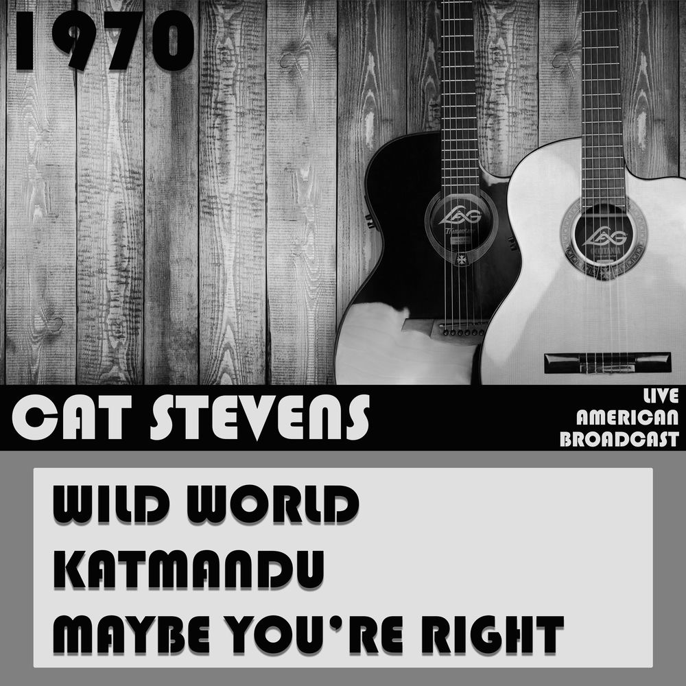 Wild World (Live)