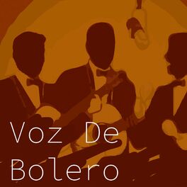 Album cover of Voz de Bolero