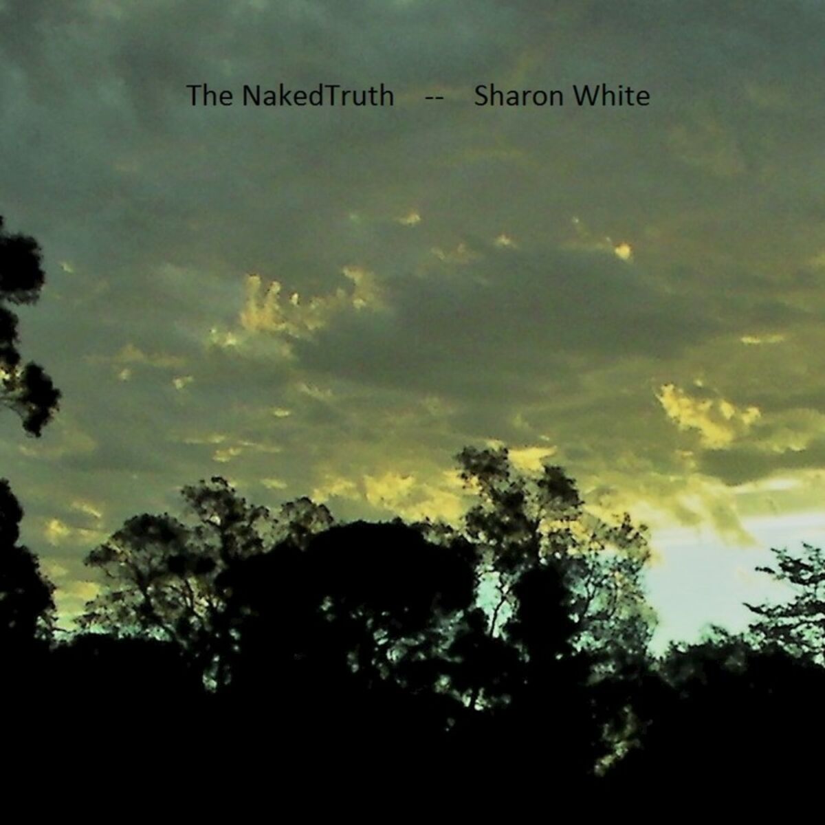 Sharon White - The Naked Truth: lyrics and songs | Deezer