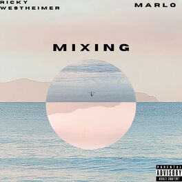 Album cover of MIXING
