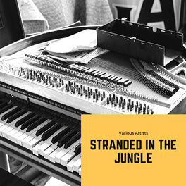 Album cover of Stranded in the Jungle
