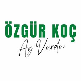 Album cover of Ay Vurdu