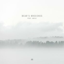 Album cover of Bear's Breeches