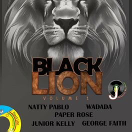 Album cover of Black Lion, Vol. 1