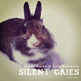 Album cover of Silent Cries Remixes