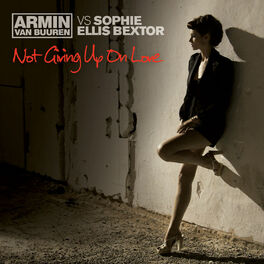 Album cover of Not Giving Up On Love