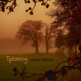 Album cover of Tiptoeing