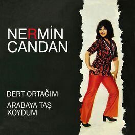 Album cover of Dert Ortağım / Arabaya Taş Koydum